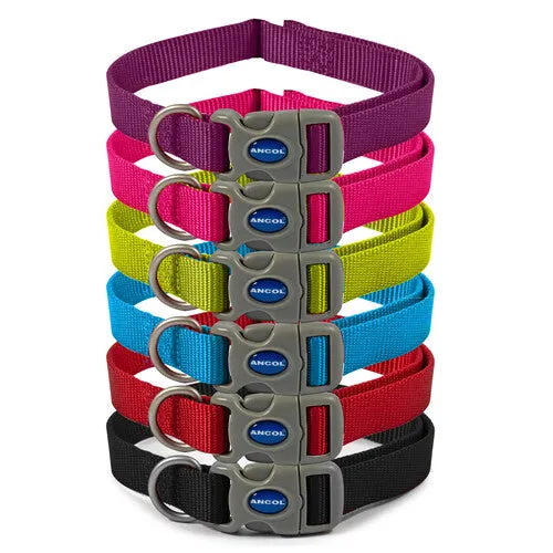 Ancol Viva Nylon Adjustable Collar Blue 30-50cm Size 2-5