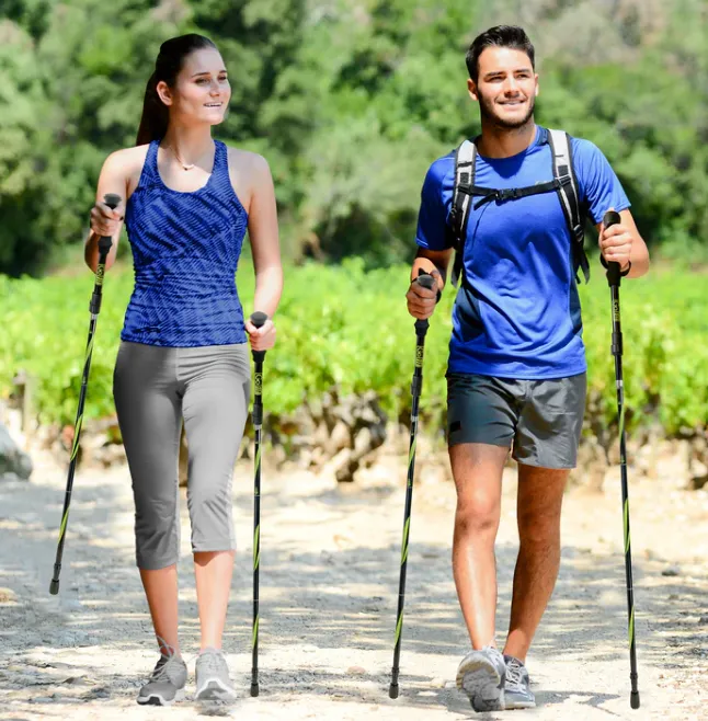 GOTREK TREKKING POLES