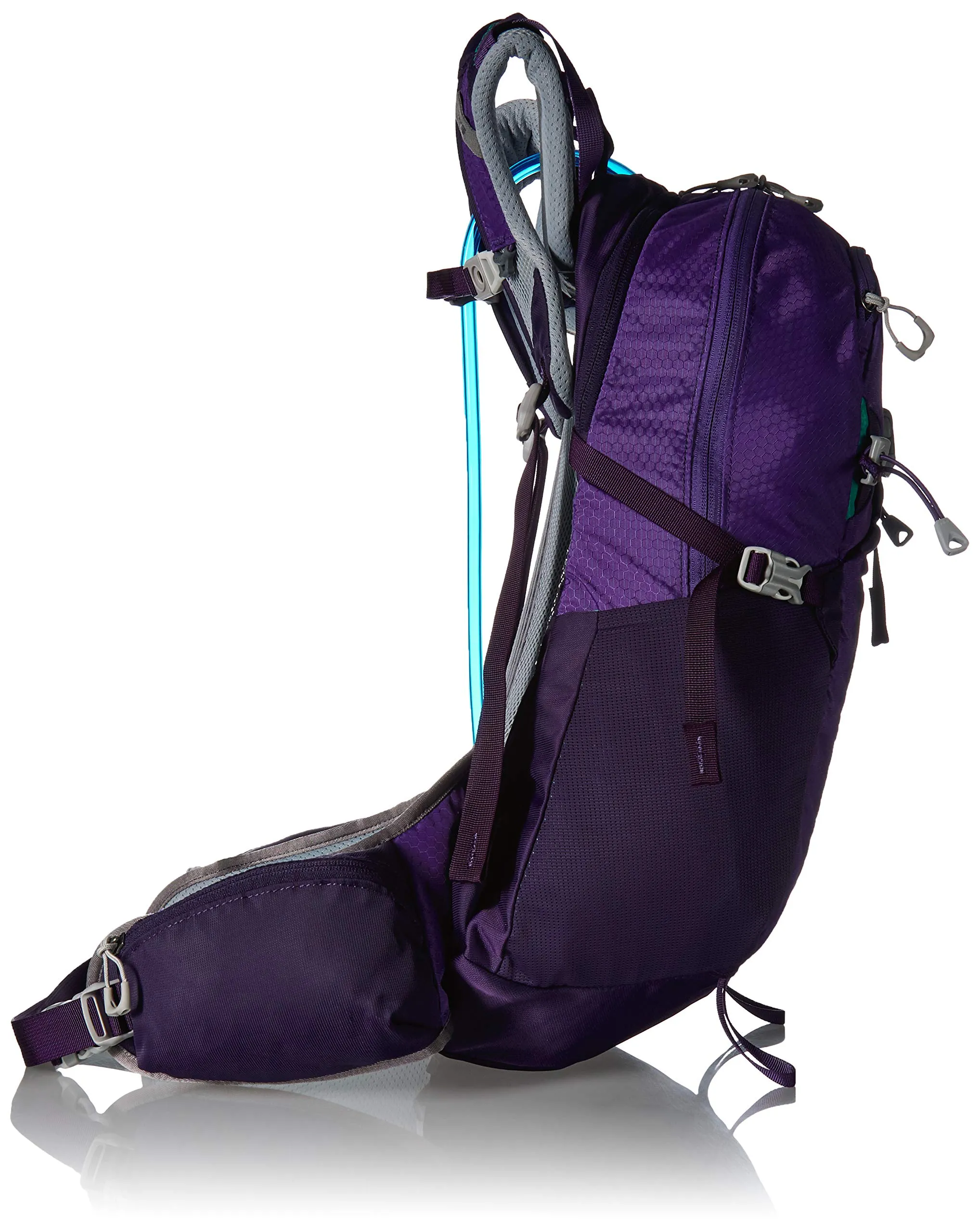 Gregory Mountain Products Juno 25 Liter 3D-Hydro Women's Daypack, Acai Purple, One Size
