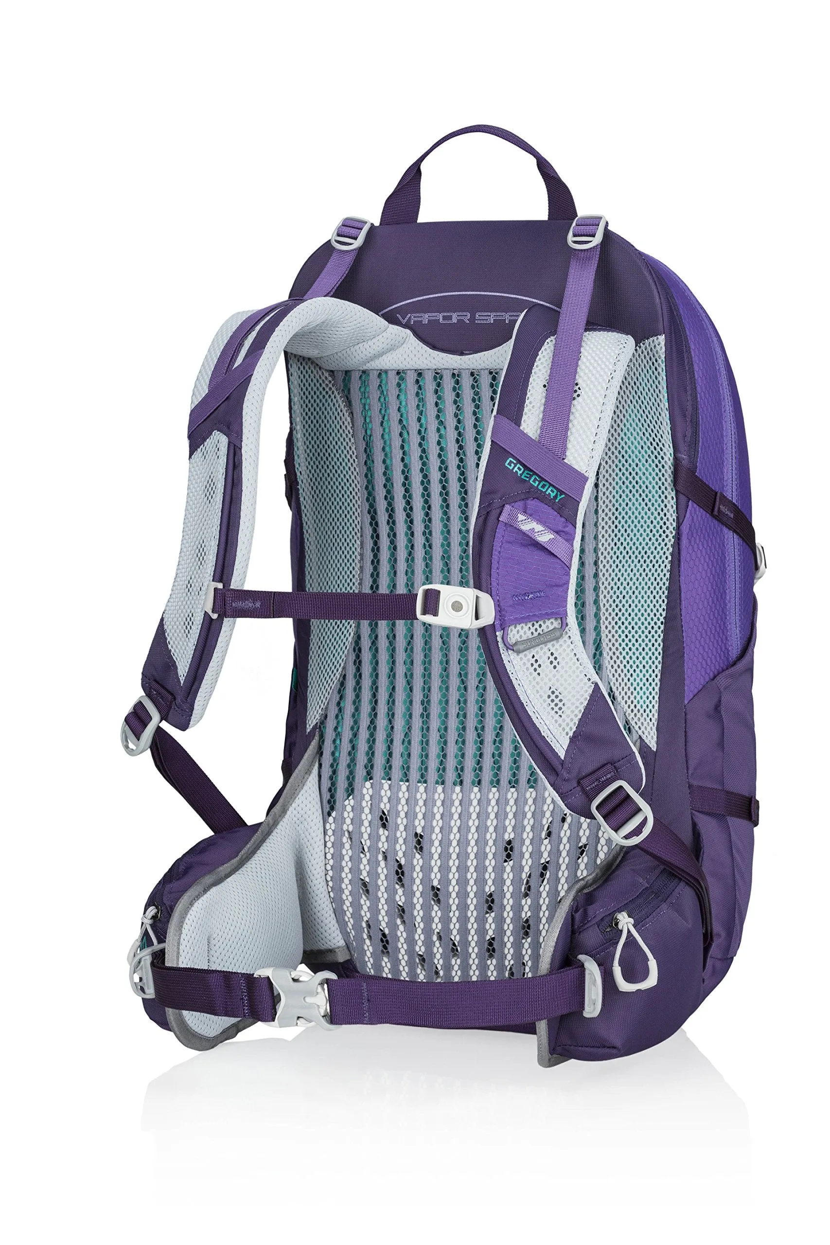 Gregory Mountain Products Juno 25 Liter 3D-Hydro Women's Daypack, Acai Purple, One Size