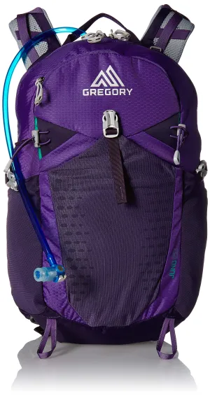 Gregory Mountain Products Juno 25 Liter 3D-Hydro Women's Daypack, Acai Purple, One Size