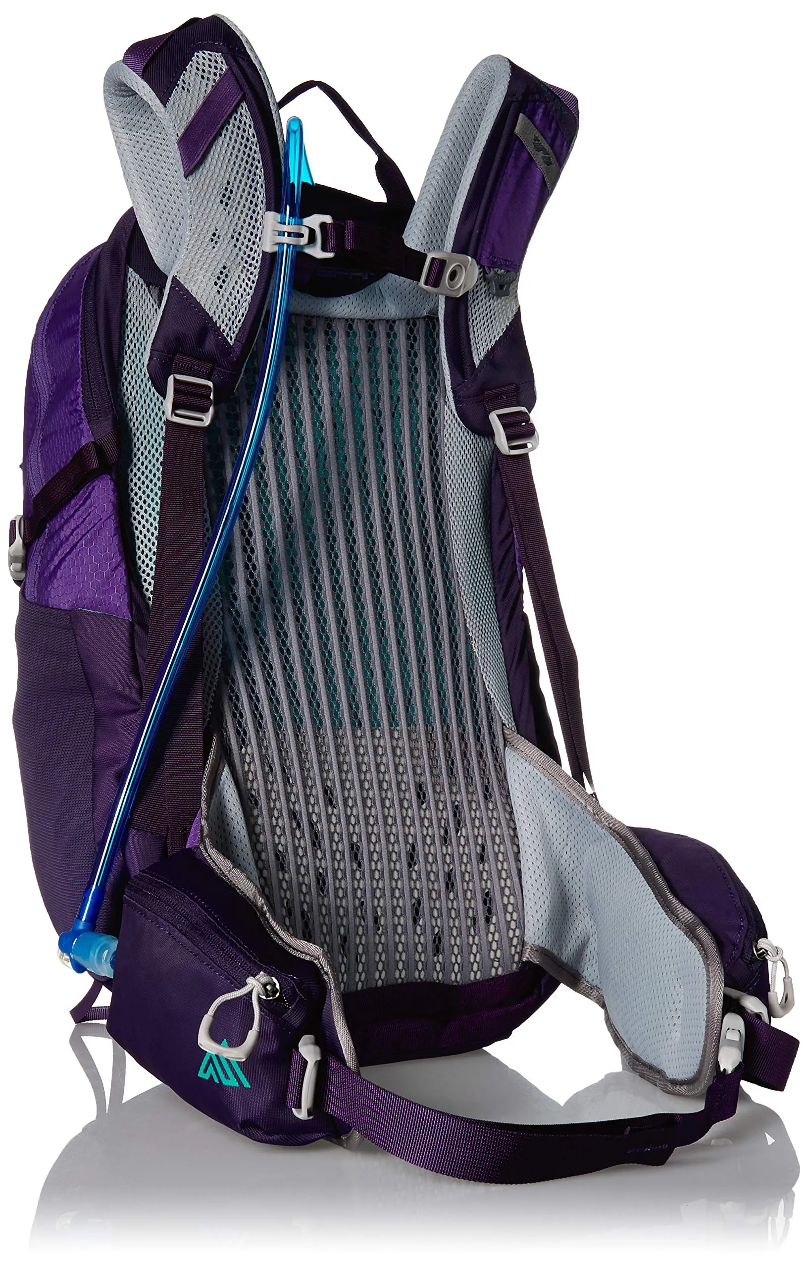 Gregory Mountain Products Juno 25 Liter 3D-Hydro Women's Daypack, Acai Purple, One Size